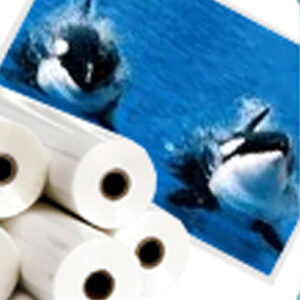 Inkjet Adhesive Backed Vinyl Media