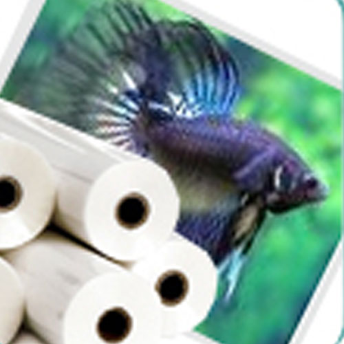 Inkjet Canvas and Fabric Media