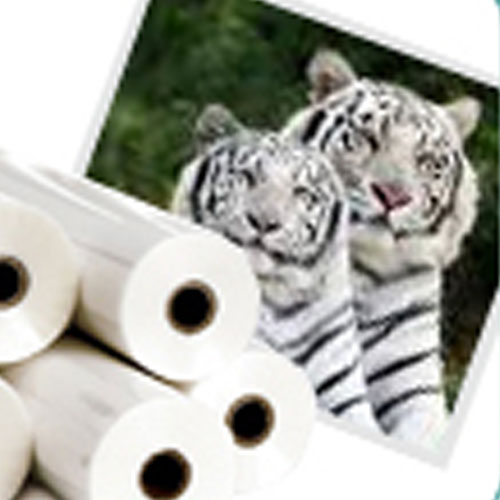 Solvent Banner Media