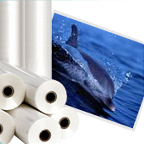 Water Based Inkjet Print Media