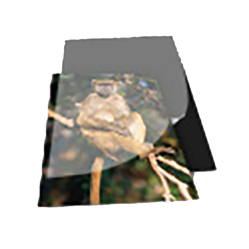 Foam Mounting Boards