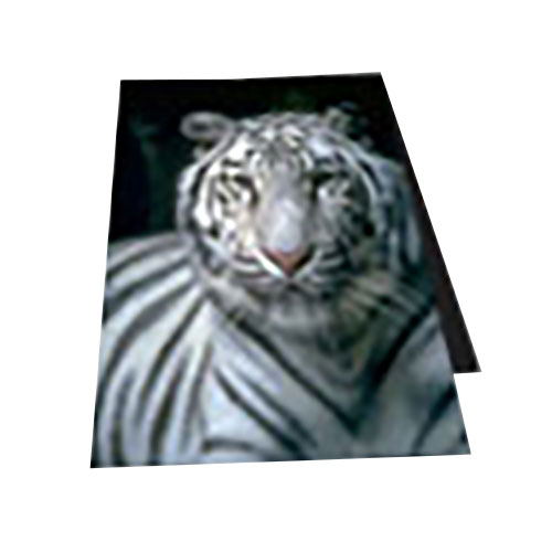 Foam Mounting Boards