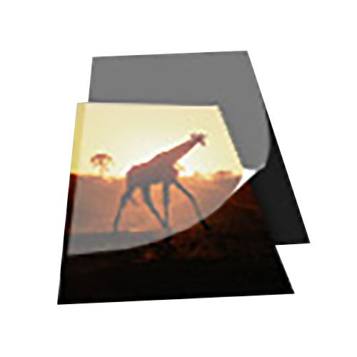 Heavy Duty (Ryno) Pouch Boards