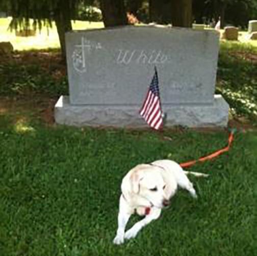 Patti's Dog at Gravesite